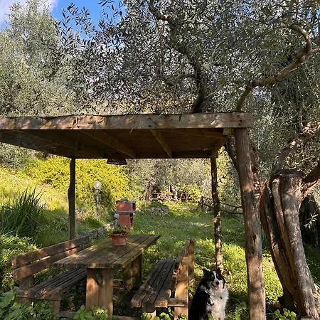 Podere Val Di Vico Tatil Evi Pieve (Tuscany)