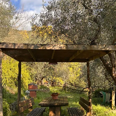 Podere Val Di Vico Pieve (Tuscany)