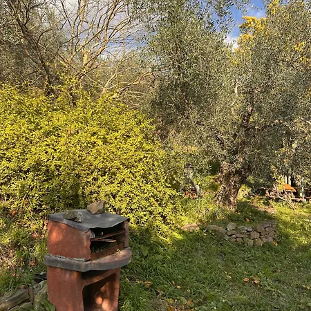 Tatil Evi Podere Val Di Vico Pieve (Tuscany)
