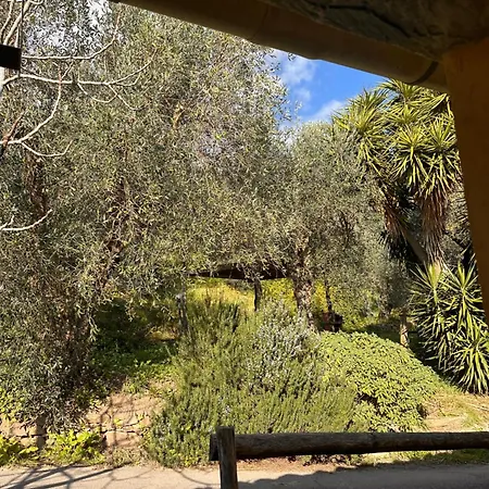 Tatil Evi Podere Val Di Vico Pieve (Tuscany)