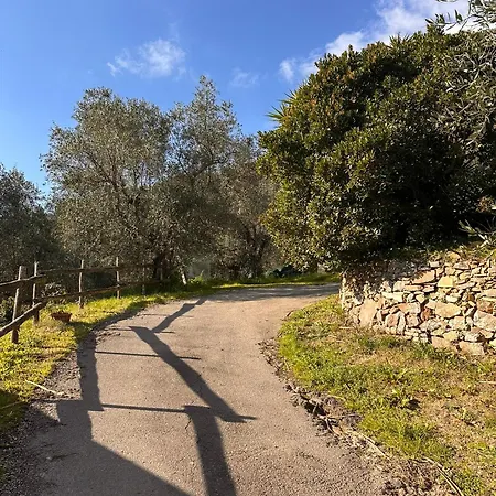 Podere Val Di Vico Tatil Evi Pieve (Tuscany)